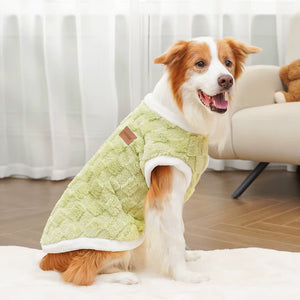 Câine purtând haină verde din polar pentru iarnă
